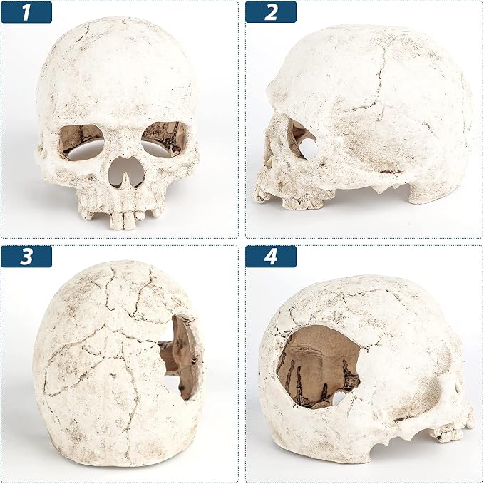 Uniclife Aquarium Skull Reptile House Decor Resin Head Skeleton Ornament for Tank Landscape Decorative Hideout Cave Shelter for Small Fish Shrimp Snail Gecko Spider Lizard in 5-20 Gallon Fish Tank