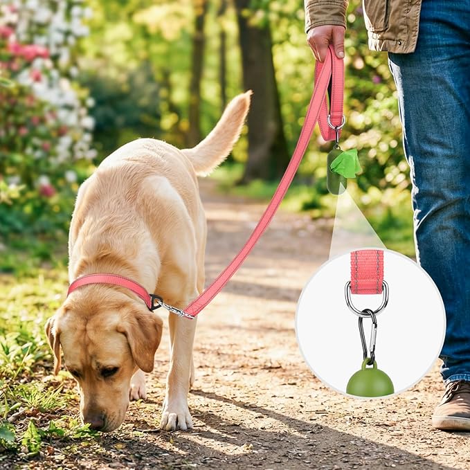 Joytale Dog Leash, 4 FT Double-Sided Reflective, Padded Handle Nylon Heavy Duty Leashes for Small Dogs Walking, Neon Pink