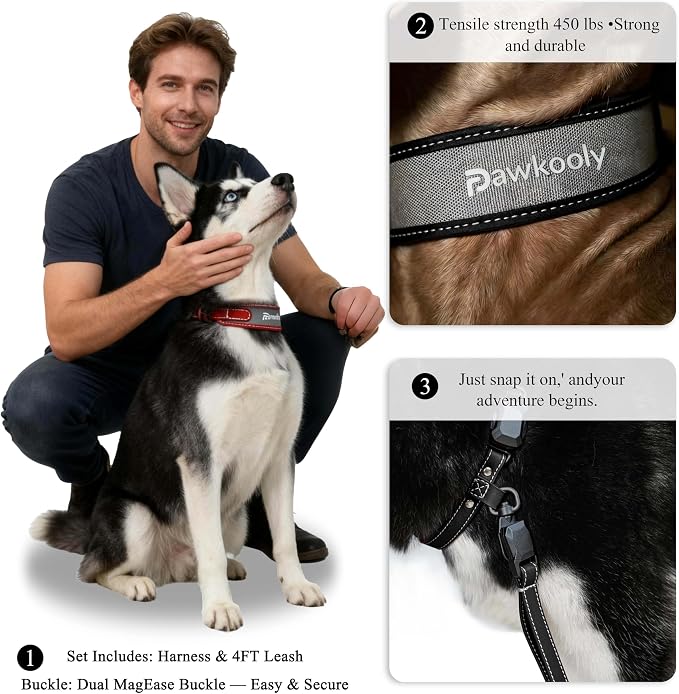 MagEase Dog Collar with 4FT Leash | Adjustable | Anti-Wrinkle, Bite & Stain-Resistant Leather | Soft & Skin-Friendly | 450LB Escape-Proof Magnetic Buckle (Black, Large)