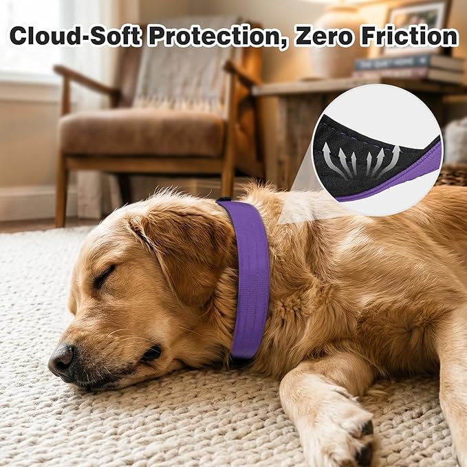 Joytale Tactical Dog Collar for Large Dogs with Control Handle, Heavy Duty Military Training Collar for Power Breeds, AirTag Holder Case, Quick Release Metal Buckle, Soft Padded, L, Purple