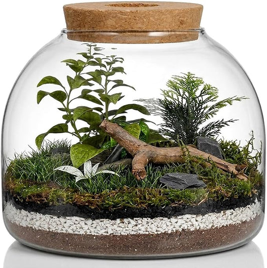 iplusmile Glass Plant Terrarium Jar, Tabletop Succulent Bubble Planter with Cork Lid, Open Mouth Round Fish Bowl Vase Sealed Glass Bottles Vial for Home Decor
