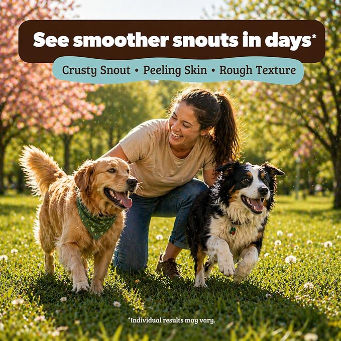 Natural Dog Company Snout Soother Dog Nose Balm – Moisturizing Care for Dry, Crusty, Cracked Noses with Coconut Oil & Shea Butter, Lick Safe Dog Snout Balm for All Breeds - 2 oz Stick