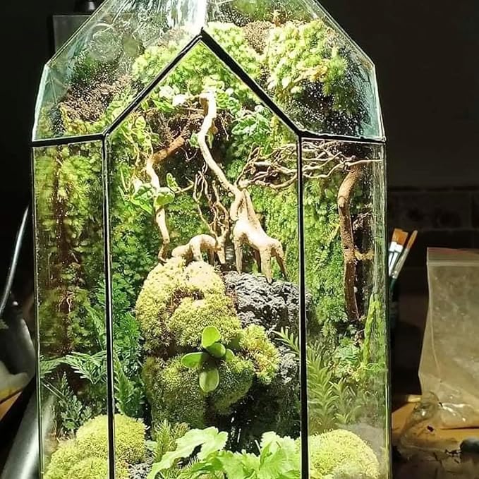 Azil Driftwood Deer Aquarium Decoration – Unique & Artistic Fish Tank & Terrarium Ornament, Safe & Eco-Friendly for Aquascaping & Reptile Habitats (Deer with Long Antlers)
