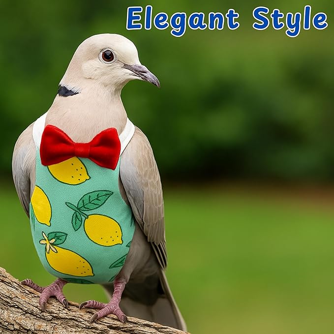 Pigeon Diaper Harness and Bird Leash, Diapers for Birds with Leash, Bird Diapers for Pigeons, Diaper Pants for Cockatiel African Grey Parrot Budgie, Cage Accessories (M-Green)
