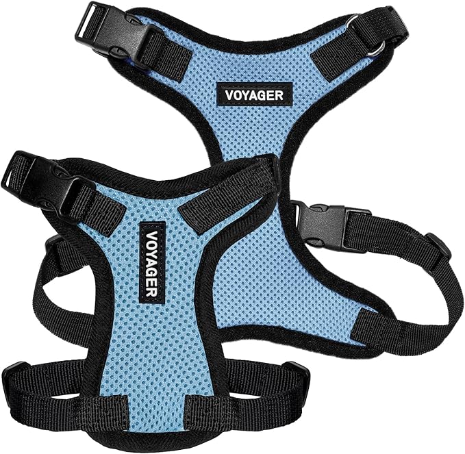 Voyager Step-in Pet Harness - All Weather Mesh, Adjustable Step in Harness for Cats and Dogs by Best Pet Supplies - Baby Blue/Black Trim, S