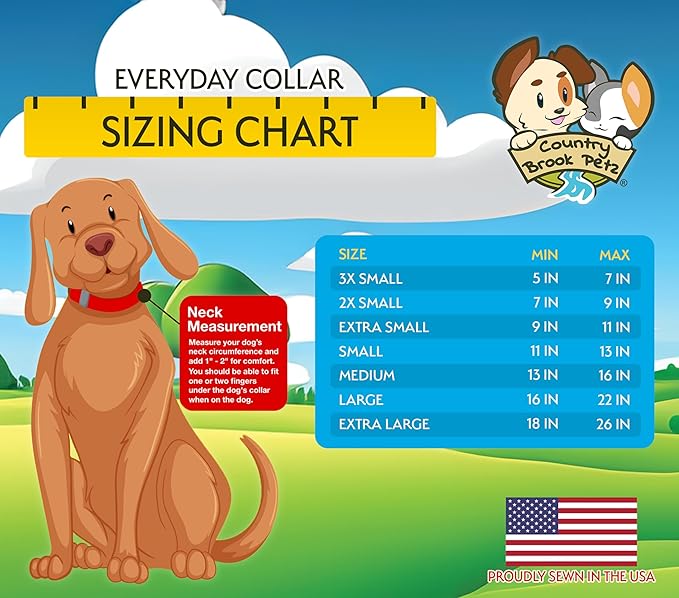 Country Brook Petz - Everyday Nylon Dog Collar and Leash - 10+ Cool Colors (3/4 Inch, Medium, Silver)