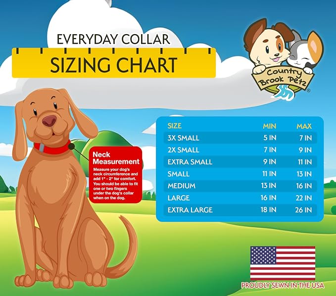Country Brook Petz - Deluxe Nylon Dog Collar and Leash - 10+ Cool Colors (1 Inch, Extra Large, Ice Blue)