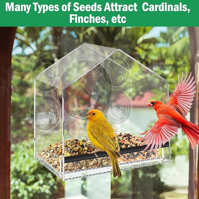 Window Bird Feeder with 4 Extra Strong 2.36'' Suction Cups - 4.35' Extra Deep Removable Tray for Large Capacity, Clear Birdhouse for Outside Viewing, Gift for Cardinals, Finches & Bluebirds