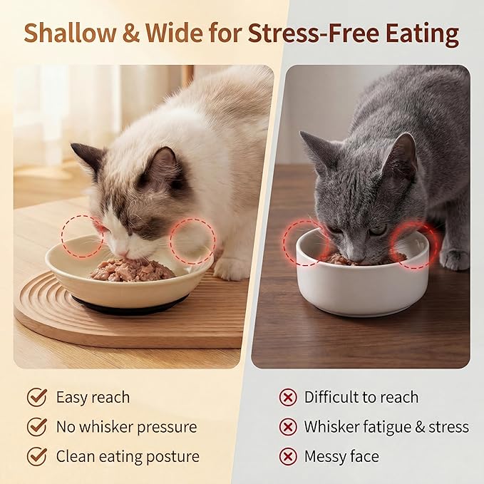 Ceramic Cat Food Bowls 6 Pack – Shallow Cat Bowl with Non-Slip Silicone Base, Whisker-Fatigue Dishes for Indoor Cats – Microwave Dishwasher Safe – 5.3 oz Colorful Pet Plates for Wet Dry Food Water