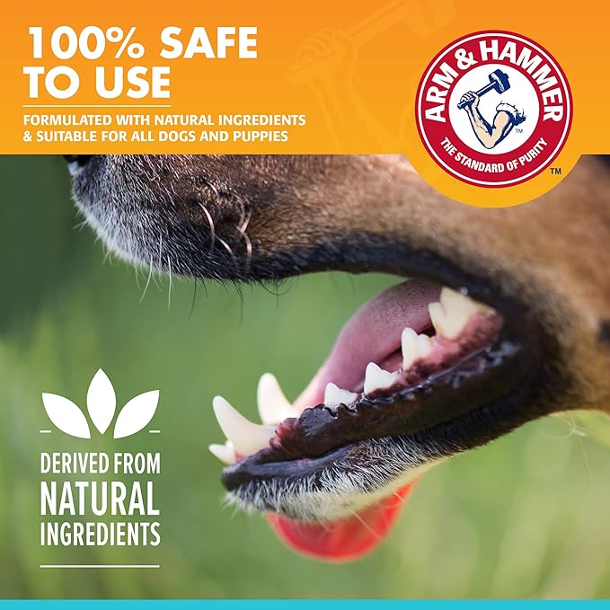 Arm & Hammer for Pets Dog Oral Care Spray, Mint Flavor Breath Freshener with Baking Soda for Brushless Plaque and Tartar Support, Easy Daily Dental Maintenance for Adult Dogs, 4 Fl Oz - 24 Pack