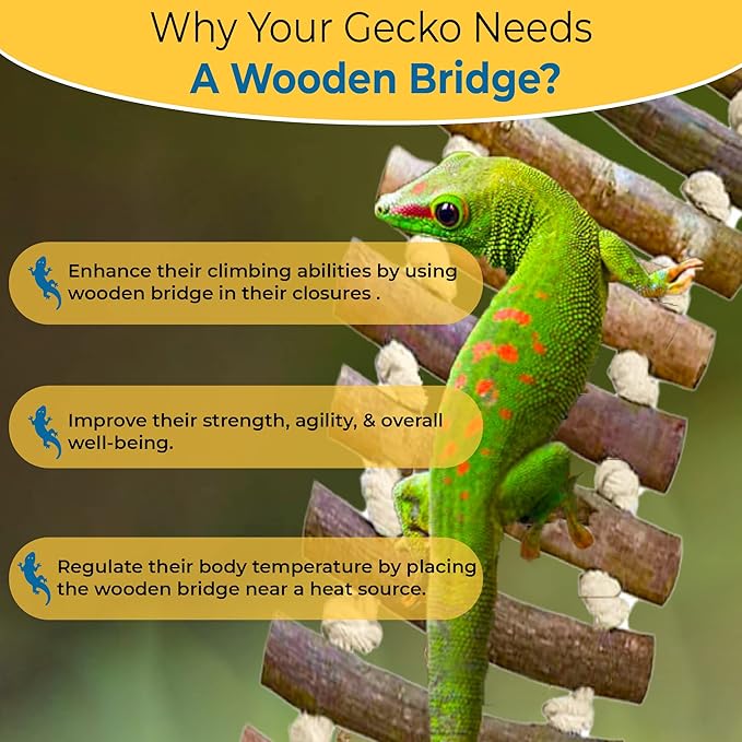 SunGrow Gecko Wooden Ladder Bridge, 14 x 3 inches, Exercise Gym, Interactive Swing Perch for Resting, Metal Clasps for Hanging, Vertical Stairs for Climbing