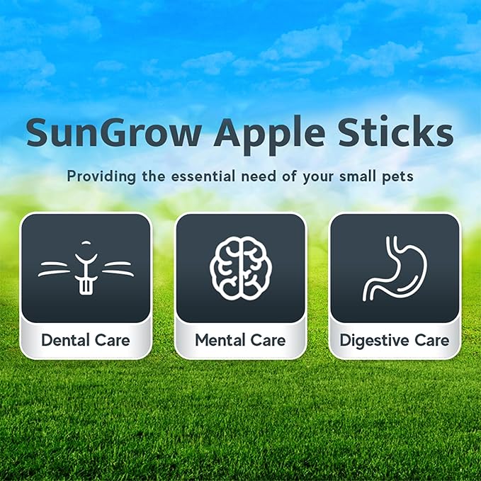 SunGrow Apple Sticks, Wood Chew Sticks for Rabbits, Chinchillas, Bunny, Hamster, Squirrel, Guinea Pigs, Small Animals Molar Pet Chew Toys Treat for Teeth Grinding 200g (7 oz)