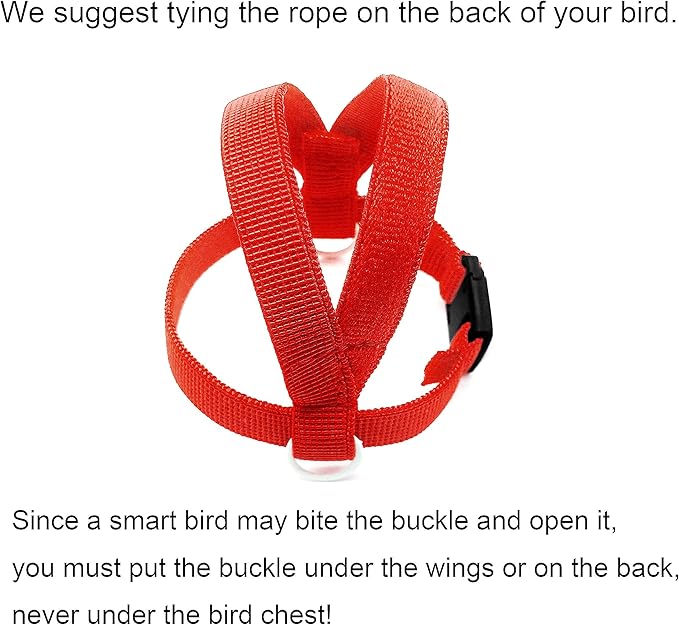 VANFAVORI Bird Harness with Buckle Clip and A Leash, Easy to Wear Training Kit for Bird Parrots Cockatiel S Size Weight 85-105 Grams,Red