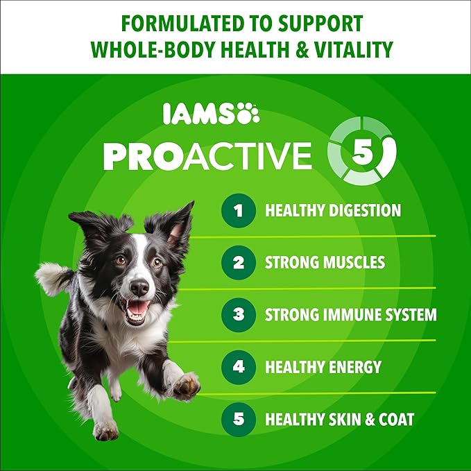 IAMS Proactive Health Adult Minichunks Dry Dog Food Beef & Rice Recipe, 5 lb. Bag