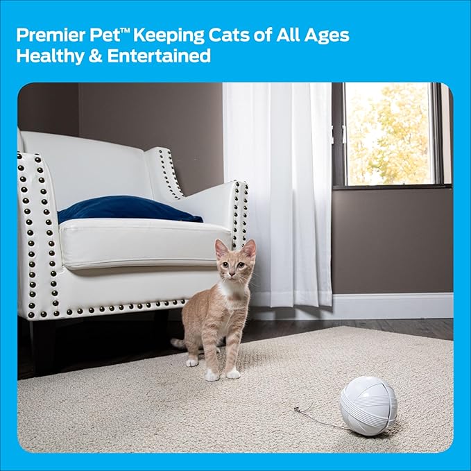 Premier Pet Zip Automatic Laser Cat Toy, Interactive Toy for Indoor Cats