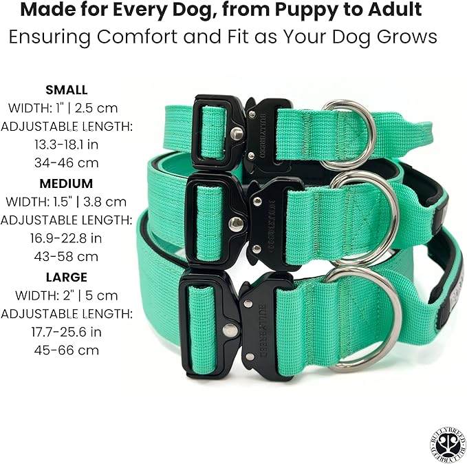 Heavy Duty Dog Collar, Tactical Dog Collar, Dog Collars for Medium Dogs, Waterproof Dog Collar, Dog Training Collar, Quick-Release Metal Buckle, Adjustable Sizes – BULLYBREED (Aquamarine, Medium)
