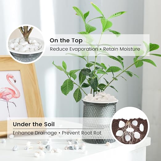SIDONG 5 LB White River Rocks, 0.3-0.5 Inches Pebbles for Indoor Plants, Aquarium Rocks Used in Fish Tank, Decorative Stones for Plants, Vases, Home Décor, Crafting, Garden Landscaping