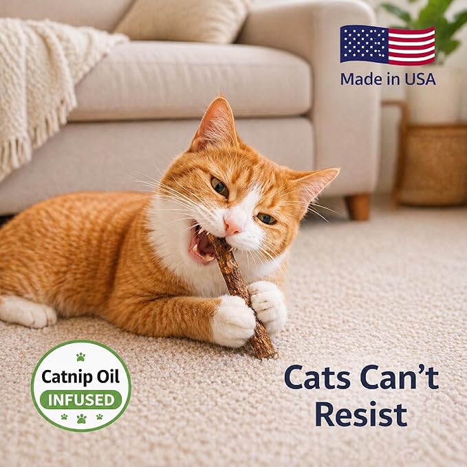 Silvervine Stick for Cats with Catnip Oil (1 Stick) - Matatabi Cat Chew Stick Dental Toy for Teeth Cleaning - Natural Kitten Teething Chew Toys for Indoor Cats - Made in USA