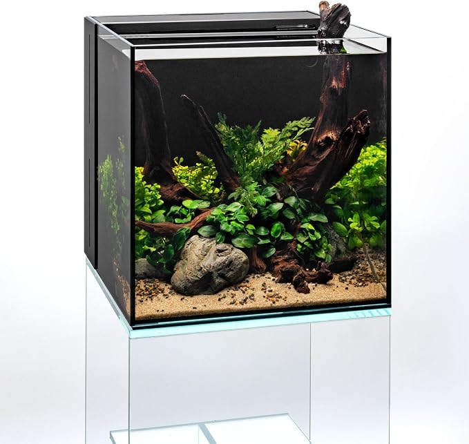 Ultum Nature Systems Driftwood - Malaysian Drift Wood for Fish Tank, Planted Tank, Terriarium, Paludarium - Versatile Natural Driftwood Decor, Events Wood Centerpiece - Malaysian, S 8-12", 3 Pack