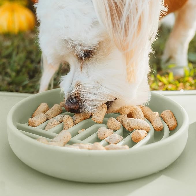 Should We Go? Slow Feeder for Dogs & Cats, The Slowdown Bowl Silicone Slow Eating Mealtime Solution with Modern Lick Mat Design, Reduces Gulping, Fits 1 Cup, 6” Across x 1.25” Tall, Small-Sage