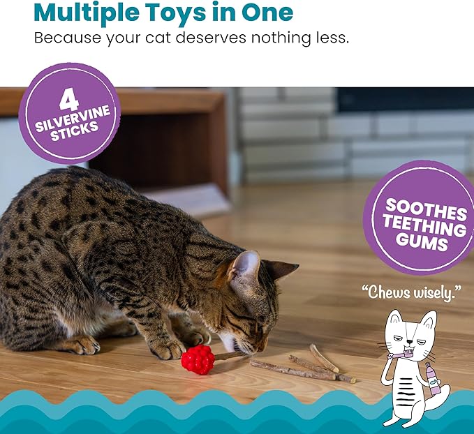 Catstages Dental Raspberry Teether with 4 Silvervine Sticks Included, Cat and Kitten Teething Toy, Red