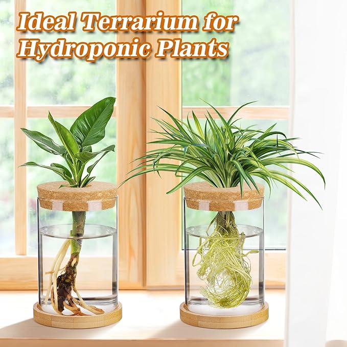 Plants Propagation Station, Gardening Gifts for Women Mom Plant Lovers | Biggun 2Pcs Desktop Plant Terrarium Glass Hydroponic Vases, Water Plant Jars (Thick Straight Shape, Separated Tray Style)
