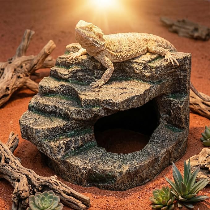 Beared Dragon Tank Accessories for Adults, Snake Hide, Reptile Tank Accessories, Perfect Natural Large Reptile Hide, Professional Turtle Basking Platform (E-Large)