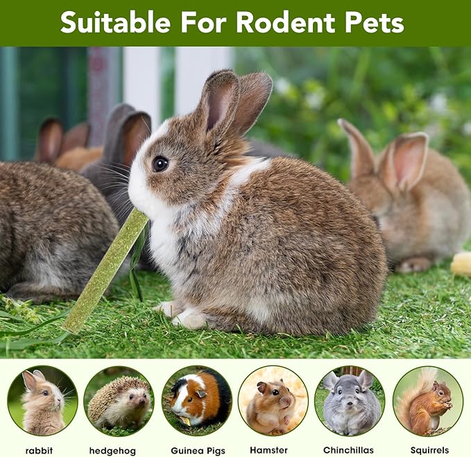 WDEFUN 45 PCS Timothy Hay Sticks for Rabbits Natural Molar Teeth Stick Chew Toys for Bunnies Chinchillas Guinea Pigs Hamsters and Other Small Animals Treats