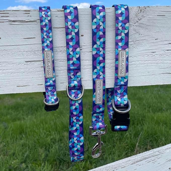 Lucky Love Dog - Adjustable Dog Collar and Leash Set with Easy Click Buckle for Large Dogs, Durable, & Comfortable Collar for Male & Female Dogs, Puppies & Adult Ones - Jasper Combo, XL