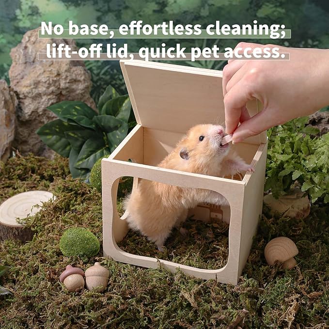 Marchul Hamster Hideout Wooden House Chamber Small Animals Pets Tunnel Exploring Toys for Dwarf Hamsters, Syrian Hamsters, Gerbils, Hedgehogs, Rats, Mice (Study Room)