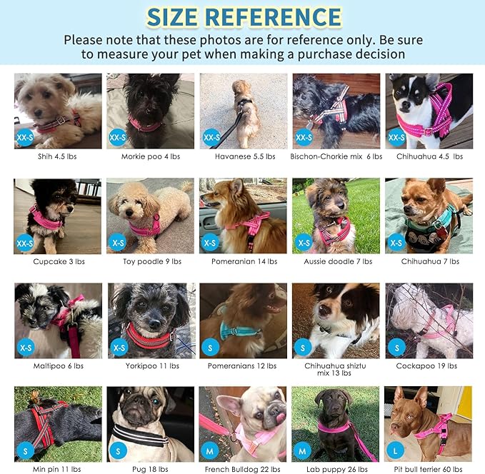 SlowTon No Pull Small Dog Harness and Leash Set, Puppy Soft Vest Harness Neck & Chest Adjustable, Reflective Lightweight Harness & Anti-Twist Pet Lead Combo for Small Medium Dogs(BL-Front Clip,S)