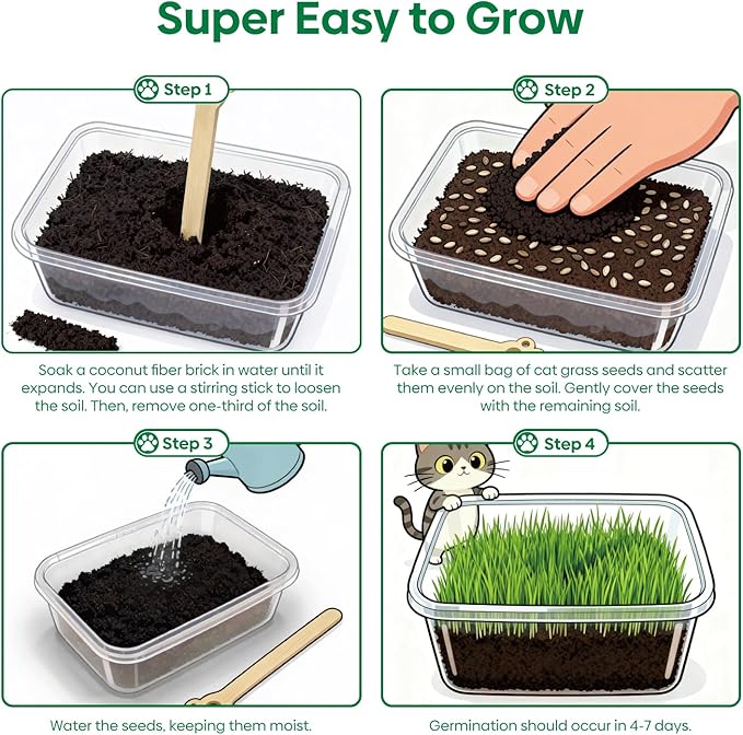 Groundio Cat Grass Seeds, All in 1 Cat Grass Growing Kit for Indoor Cats, Organic Wheat & Oat Seed with 98% High Germination Rate, Heirloom | Non-GMO | Coco Coir | BPA Free Container