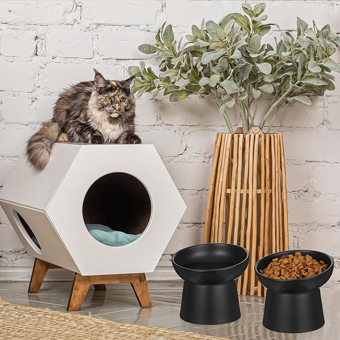 2PCS Anti-Tip Ceramic Pet Slanted Bowls – Elevated Tilted Cat Food & Water Bowls Set, Non-Slip Stress-Free Feeder for Cats & Small Dogs, Dishwasher and Microwave Safe (Black)