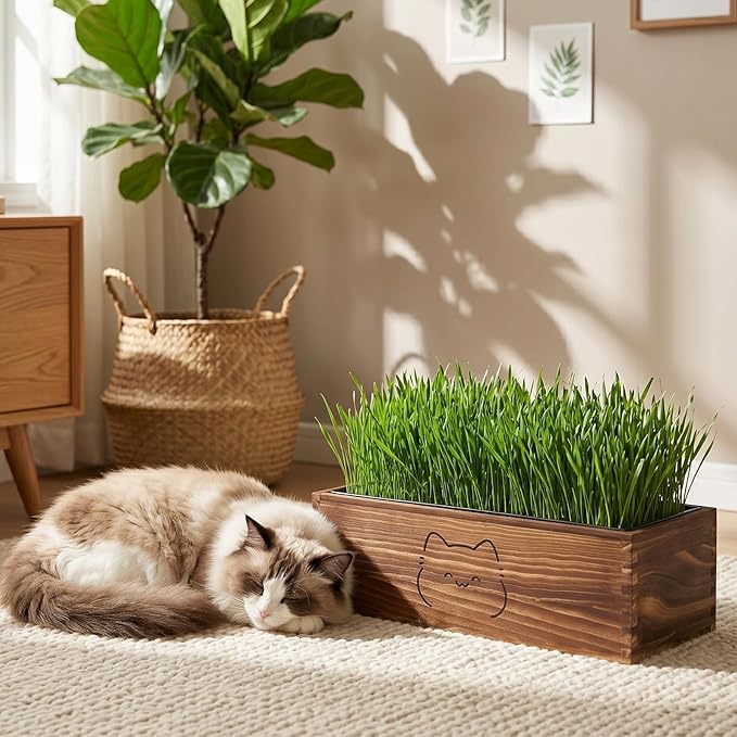 Wooden Cat Grass Planter (no Seeds Included),Cat Grass Kit for Indoor Cats with Anti-Digging Grid, Potting Soil Disks,Watering Bottle and Removable Plastic Liner,Wheat Grass Growing Pot