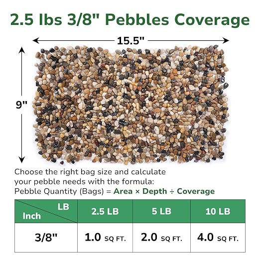 GreatBuddy 2.5-lb Pebbles for Indoor Plants, 3/8" Pea Gravel for Vases, Small Rocks for Succulents, Fish Tanks, Aquariums, Terrarium, Drainage Pebbles for Potted Plants, River Rocks for Landscaping