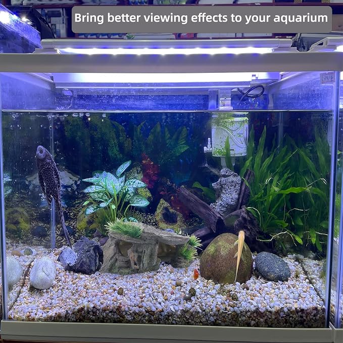 Betta Fish Hideout Cave Aquarium Rock Decor for Small Tank – 5.5 x 2.9 | Shelter for Betta Fish Guppies Shrimp / Natural Stone Look / Lightweight Resin