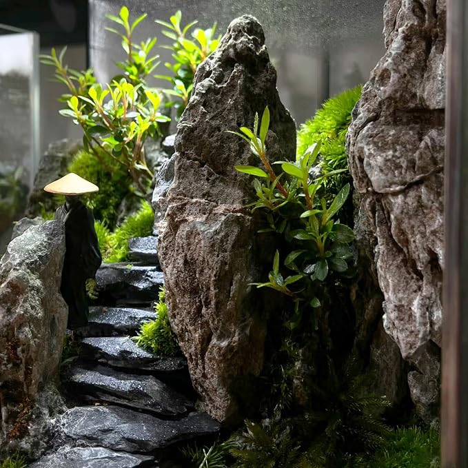 Natural Rocks Slate Stone 1-2.5 Inches Decorative Stones for Miniature Landscaping,Fairy Gardens,Bonsai,DIY Crafts,Aquariums & Reptile Terrariums-1lb