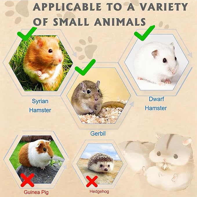 8 in 1 Acrylic Hamster Cage with All Accessories,18.5"x11.8"x14.6",2-Layer Hamster House with Full Transparent Viewing,Top Open Mouse Cage for Pet Mice,Hamster Habitat for Dwarf Hamster,Gerbils