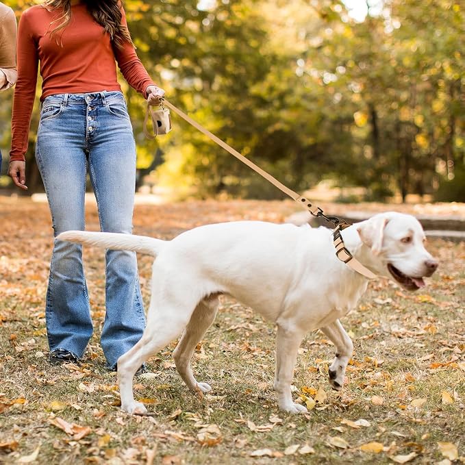Wisedog Waterproof Dog Collar and Leash Set, M, Sand Color | Adjustable Puppy Collar, Cute Tag, 5FT Leash, Includes Poop Bag, For Small Medium Large Dogs