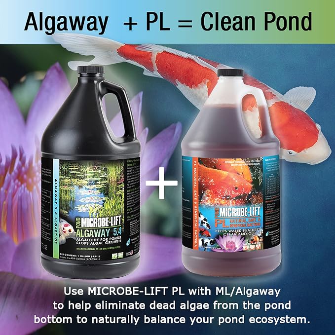 MICROBE-LIFT ALGA08 Algaway 5.4 Algae Control Treatment for Ponds and Water Gardens, Safe for Koi Fish, Goldfish, Plants, and Decorations, 8 Ounces