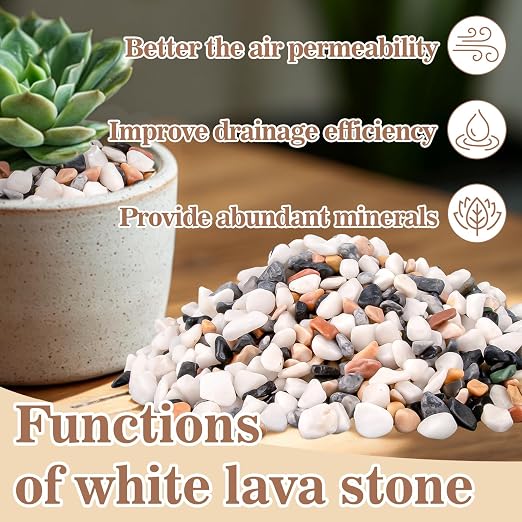Sukh Mix Color Pebbles for Cactus - 420G Polished River Stones | 1/5 Inch Cactus Gravel Pebbles, Natural Decorative Small River Rocks for Gardening, Vases, Landscaping and Fish Tanks
