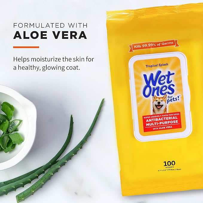 Wet Ones for Pets Multipurpose Dog Wipes with Aloe Vera, Tropical Splash Scent - Pet Bathing Wipes with Wet Lock Seal for Dog Paws and All-Over Use, 100 Count - 12 Pack