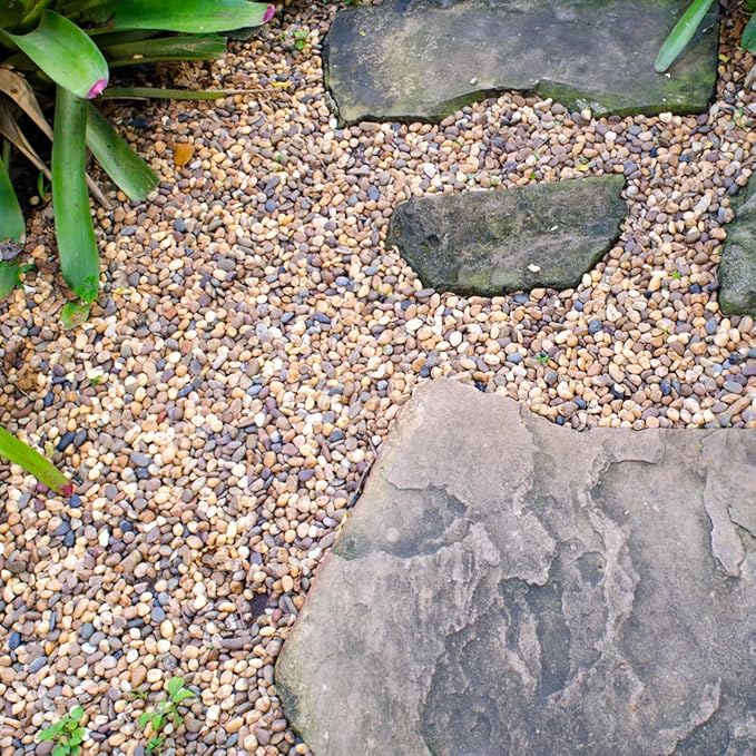 YISZM 10lbs Natural River Rocks, 1/4" Aquarium Gravel Small Rocks for Plants Pea Gravel for Fish Tank, Decorative Pebbles for Gardening, Flower Pots, Vase Fillers, Indoor Water Fountains, Landscaping