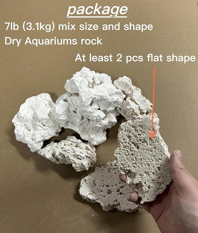 YZHZOM Dry Base Rock for Aquarium White Coral Ornament Sea Base Rocks for Aquarium Aquascaping (7lb,Mix Size & Shape)