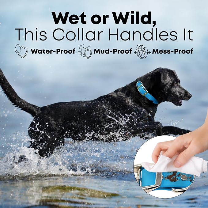 Regal Dog Products Medium Light Blue Dog Collar with Heavy Duty Double Buckle & D Ring | Vinyl Coated, Custom Fit, Adjustable Biothane Dog Collar Chew Resistant Waterproof Collar for Dogs
