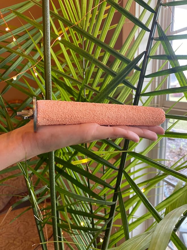 Polly's Pastels Nail Trimming & Beak Conditioning Safety Perch for Cockatiels, Cockatoos, Macaws, Parakeets, Budgies, Parrots and All Other Birds (Coral, Small-1" Dia. x 6" Long)