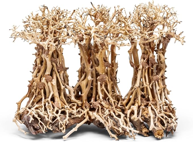 Ultum Nature Systems Bonsai - Handcrafted Hardscape Driftwood for Aquarium, Terrarium, Vivarium, Natural Aquascape Hardscape Decorations, Aquascaping Hardscape for Live Aquatic Plants - 005, Small