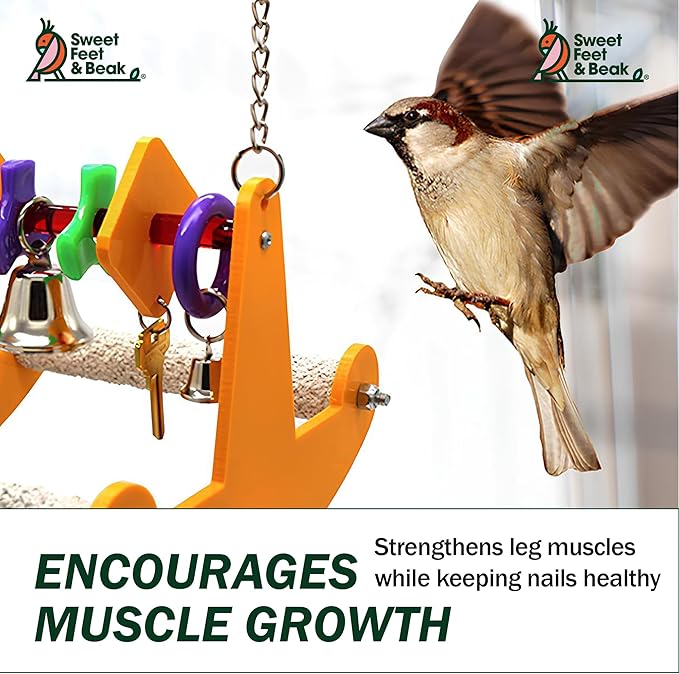 Sweet Feet and Beak Tweeter Totter - Perfect Cage Toy Stimulates Visual and Physical Activity - Safe, Non-Toxic, Cage Accessories for Small Birds