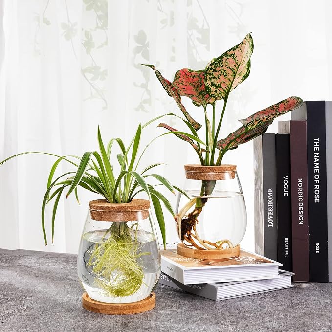Plants Propagation Station, Gardening Gifts for Women Mom Plant Lovers | Biggun 2Pcs Desktop Plant Terrarium Glass Hydroponic Vases, Water Plant Jars (Water Drop Shape, Separated Tray Style)