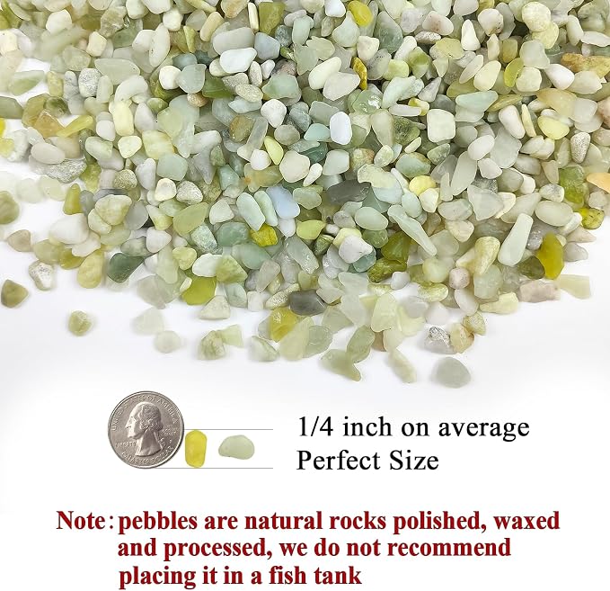 FANTIAN 10 lbs Pebbles for Landscaping,1/4 Inch Polished Green Pea Gravel Small Rocks for Plants, Succulents, Cactus, Vases, Terrarium and Outdoor Gardening (Pack of 2)